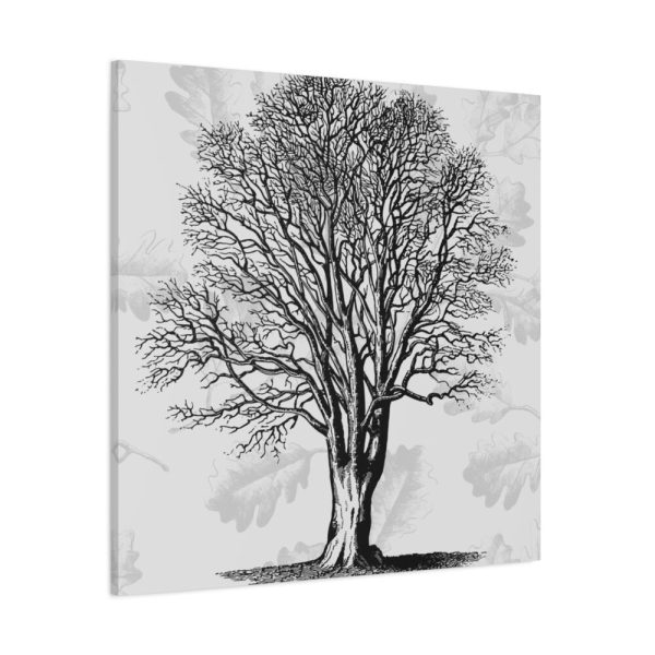101419-185.jpg Vintage Tree Framed Canvas