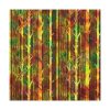 101419-191.jpg Bare Birch Type Trees With Autumn Leaves Standard Canvas