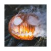 101419-21.jpg Carved Halloween Pumpkin With Smoke Standard Canvas