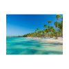 101857-10.jpg Palm Trees On The Beach Poster