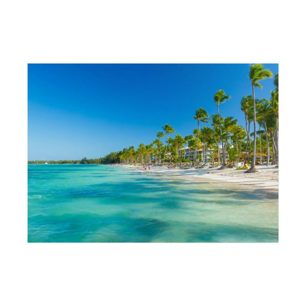 101857-10.jpg Palm Trees On The Beach Poster