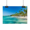 101857-11.jpg Palm Trees On The Beach Poster