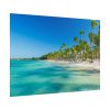 101857-12.jpg Palm Trees On The Beach Poster
