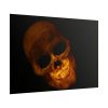 101875-117.jpg Human Skull in Dark Poster