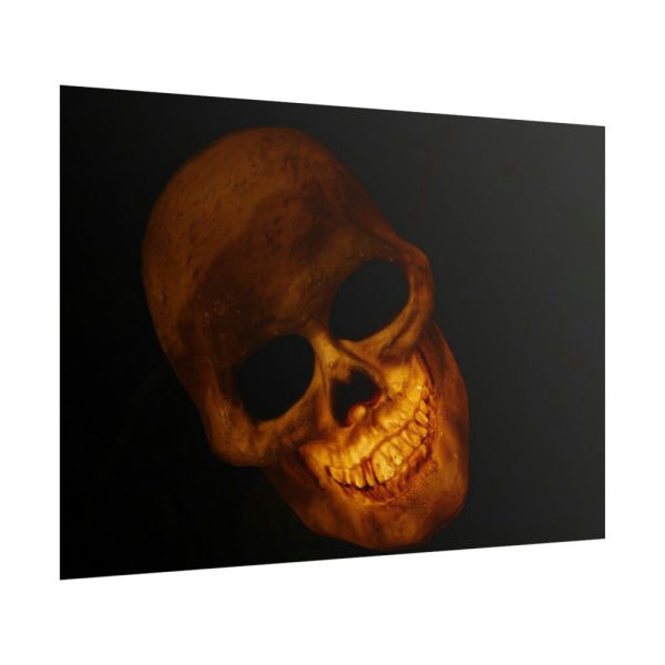 101875-117.jpg Human Skull in Dark Poster