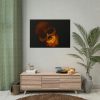 101875-118.jpg Human Skull in Dark Poster