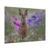 Easter Bunny Poster