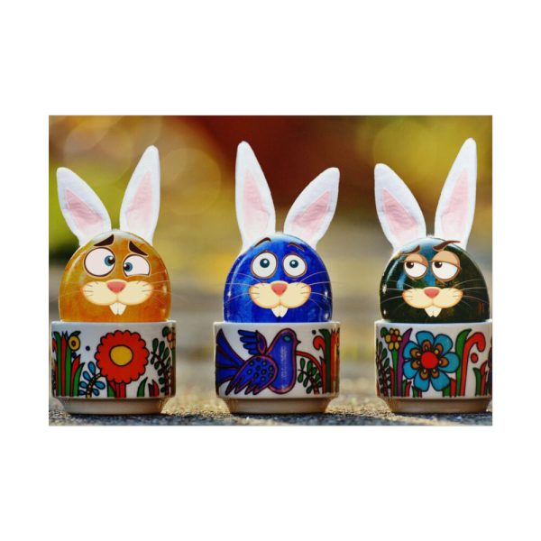 101875-285.jpg Funny Hare Rabbit Poster