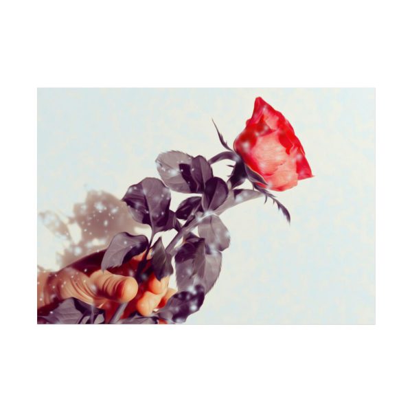101875-30.jpg Rose Gift Flowers Poster