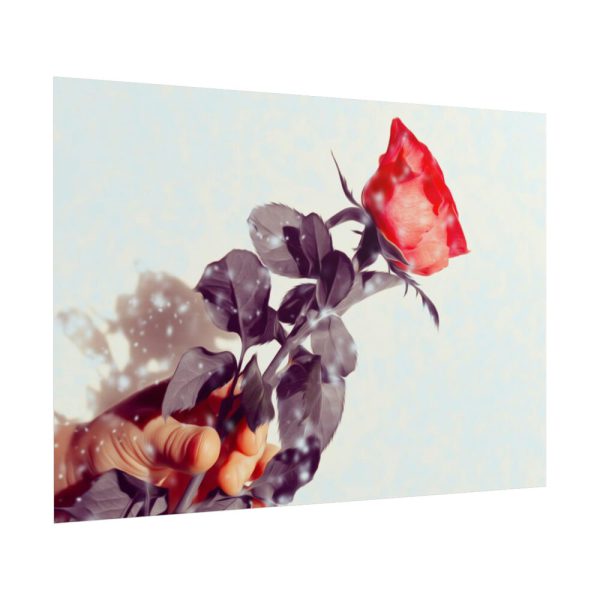 101875-32.jpg Rose Gift Flowers Poster