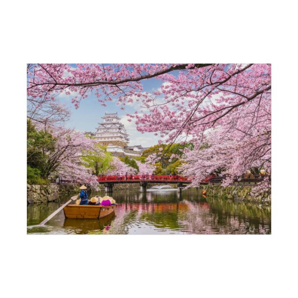 101875-325.jpg Cherry Blossom in Japan Poster