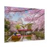 101875-327.jpg Cherry Blossom in Japan Poster