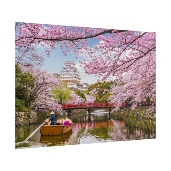 101875-327.jpg Cherry Blossom in Japan Poster