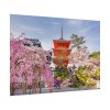 101875-332.jpg Cherry Blossom in Tokio Poster