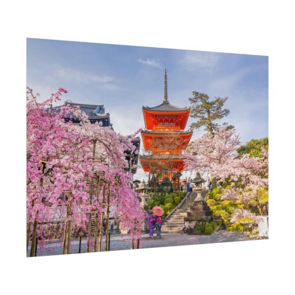 101875-332.jpg Cherry Blossom in Tokio Poster