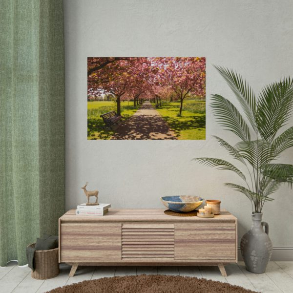 101875-343.jpg Park with Pink Blossom Trees Poster