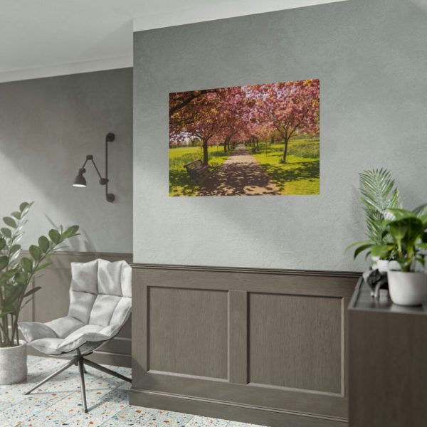101875-344.jpg Park with Pink Blossom Trees Poster