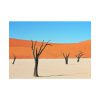 101875-345.jpg Dead Tree on Desert Poster