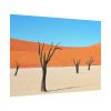 101875-347.jpg Dead Tree on Desert Poster