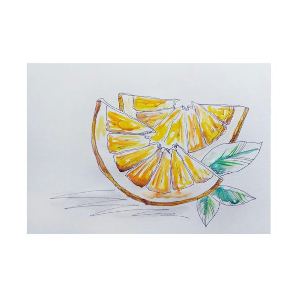 101875-355.jpg Orange, Lemon, Citrus, Lime, Slice Poster