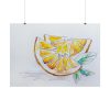 101875-356.jpg Orange, Lemon, Citrus, Lime, Slice Poster
