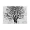 101875-390.jpg Vintage Tree Poster