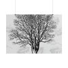 101875-391.jpg Vintage Tree Poster