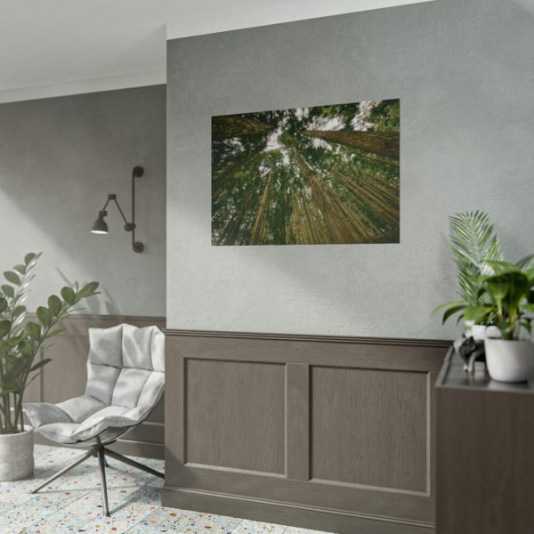 101875-434.jpg Perspective Tall High Up Trees Poster