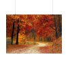 101875-436.jpg Fall Autumn Red Season Woods Poster