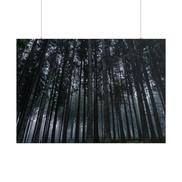 101875-441.jpg Cold Forests Trees Poster