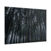 101875-442.jpg Cold Forests Trees Poster