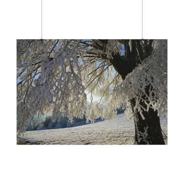 101875-446.jpg Tree Hoarfrost Poster