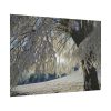 101875-447.jpg Tree Hoarfrost Poster