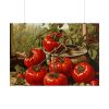 101875-516.jpg Cooking Tomatoes Poster