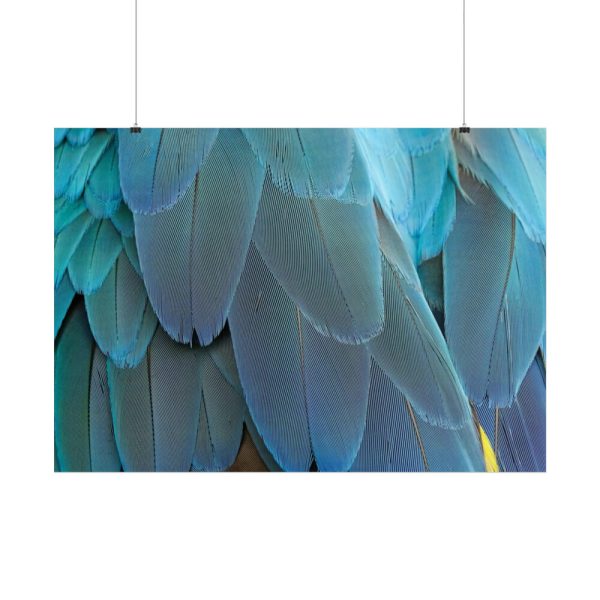 101875-541.jpg Parrot Feathers Texture Poster