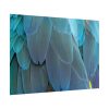 101875-542.jpg Parrot Feathers Texture Poster