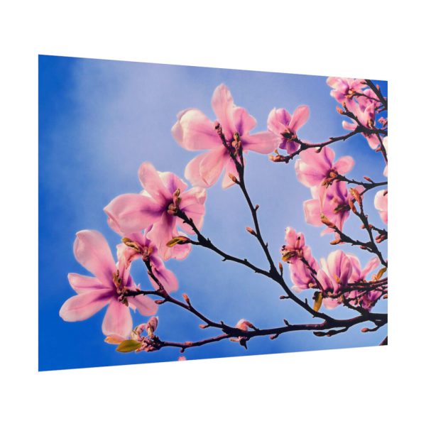 101875-602.jpg Spring Tree Poster