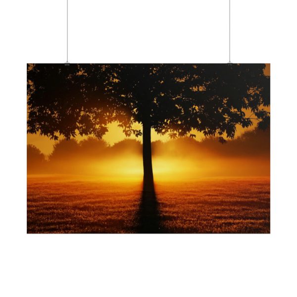 101875-606.jpg Sunrise Tree Silhouette Nature Poster