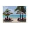 Sunny Beach With Palm Tree Poster