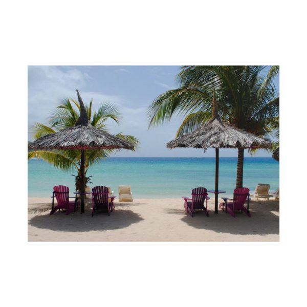 Sunny Beach With Palm Tree Poster