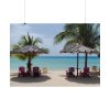Sunny Beach With Palm Tree Poster