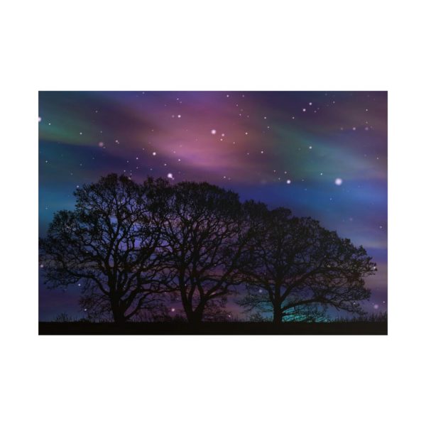 101875-705.jpg Tree Forest Starry Aurora Poster
