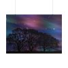 101875-706.jpg Tree Forest Starry Aurora Poster