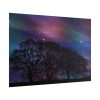 101875-707.jpg Tree Forest Starry Aurora Poster