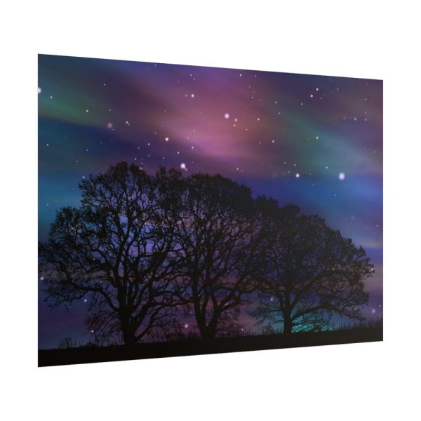 101875-707.jpg Tree Forest Starry Aurora Poster
