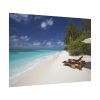 Tropical Beach, Trees, Shoreline in Summer Poster