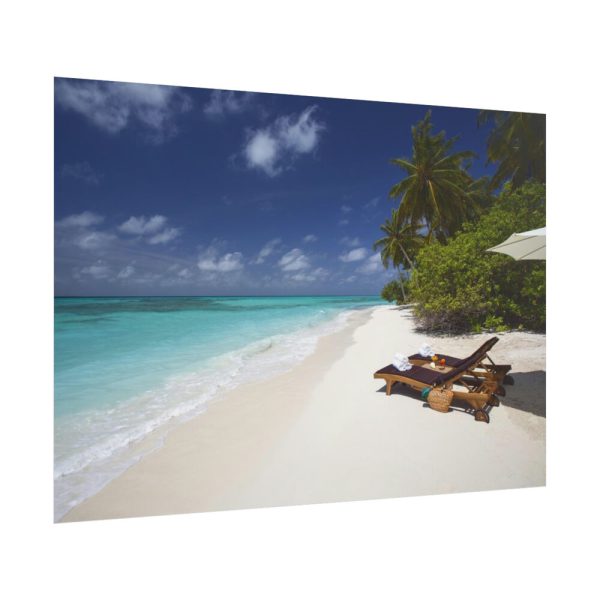 Tropical Beach, Trees, Shoreline in Summer Poster