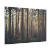 101875-802.jpg Thicket Pine Trees Poster