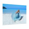 101875-807.jpg Woman On The Beach Poster