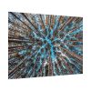 101875-822.jpg Trees Upward Poster